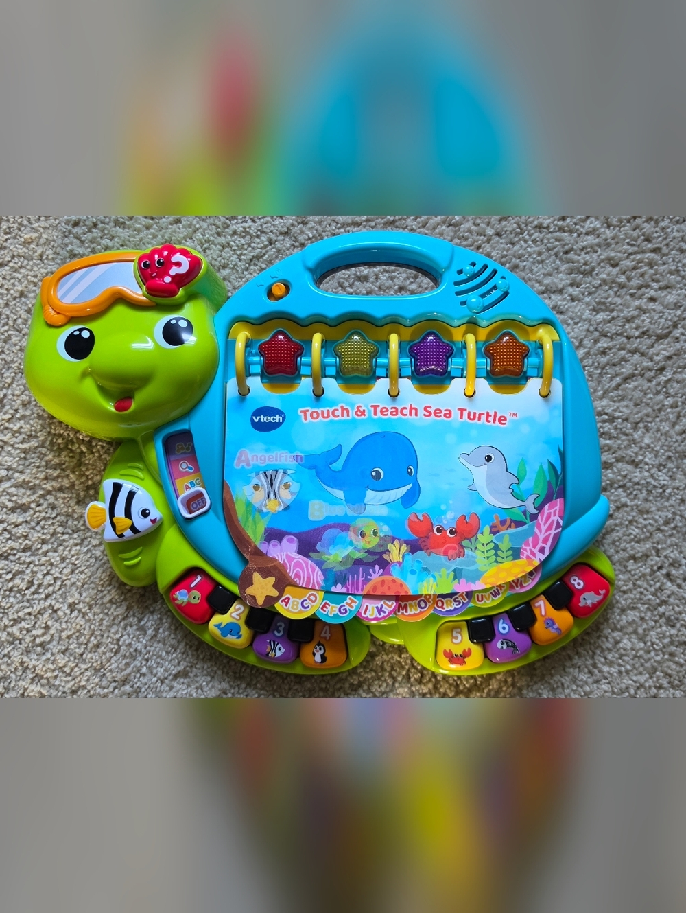 VTech Touch & Teach Turtle